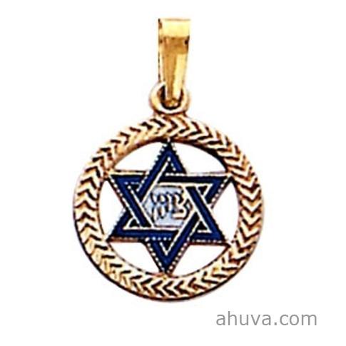 14K Gold Shema Yisrael and Star of David Men's Dog Tag Pendant