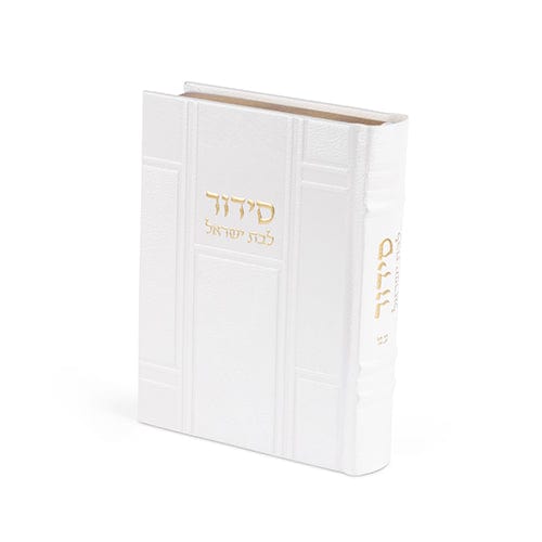 ahuva judaica art