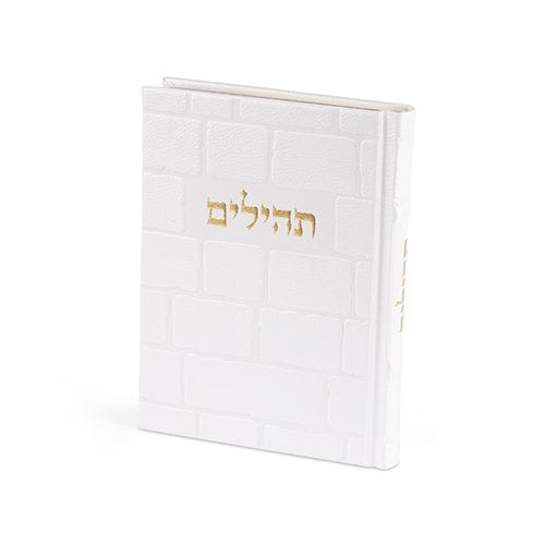 ahuva judaica art