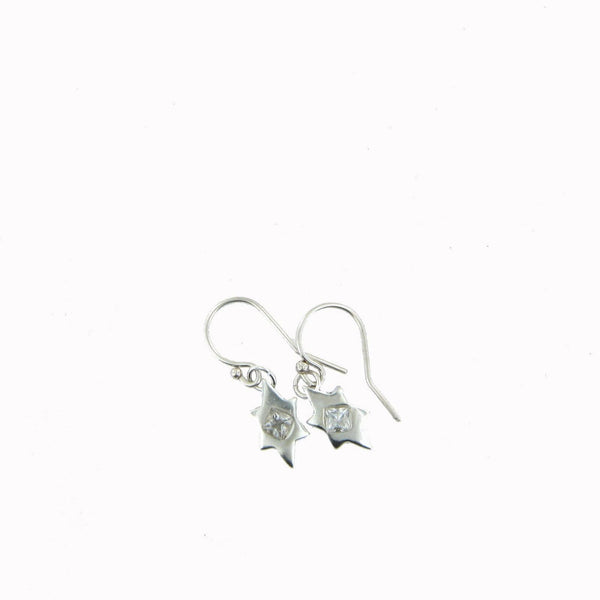 Earrings Silver