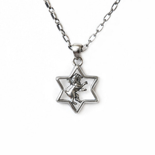 Star of David Lion of Judah Pendant Necklace Silver Antique Rolo Chain Bar-Mitzvah Boys, Teens