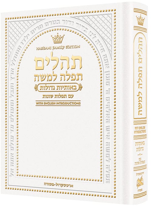 Hebrew only, large type tehillim with english introductions pocket size white-0