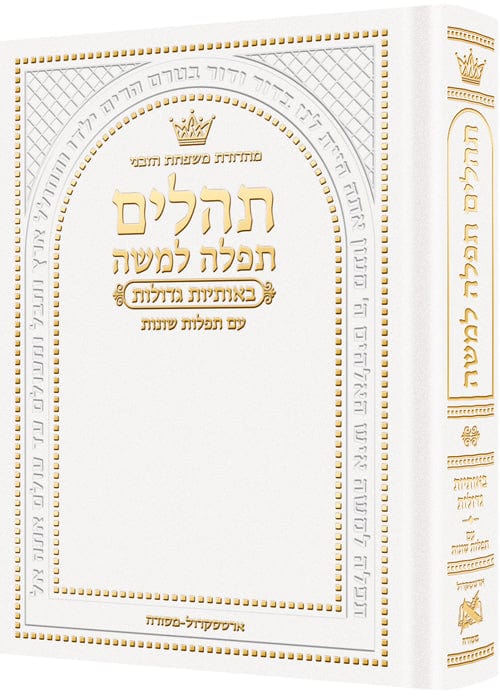 Hebrew only, large type tehillim with hebrew introductions pocket size white-0