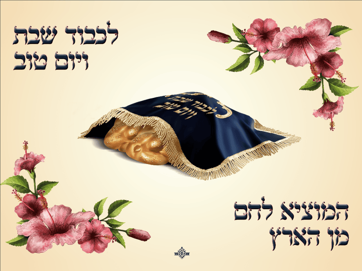 Set of 4 Challah Covers Satin 12"x16"-0