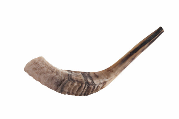 Shofar - 19"-20"-0