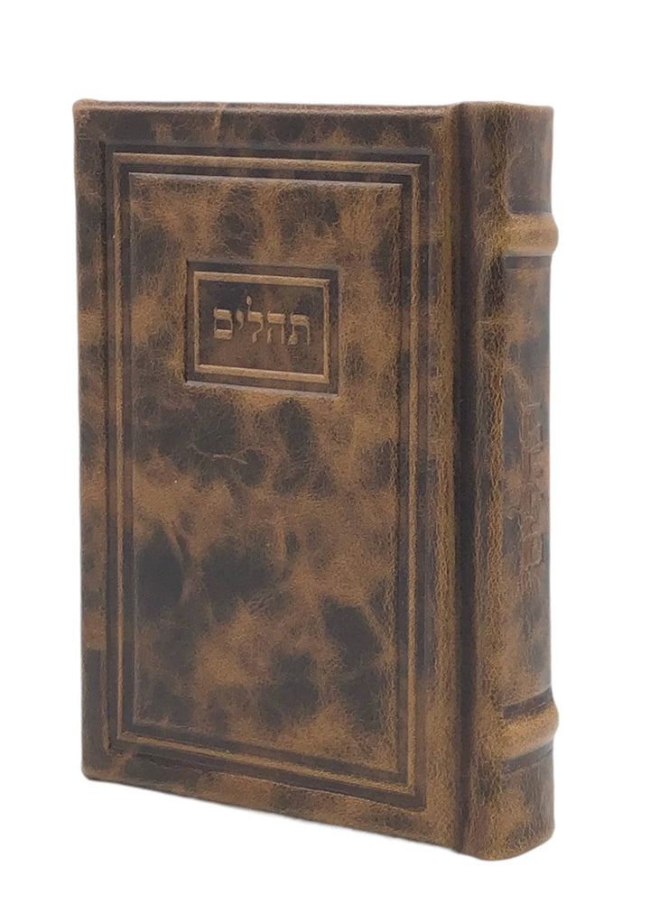 Ahuva Best of Discount Judaica