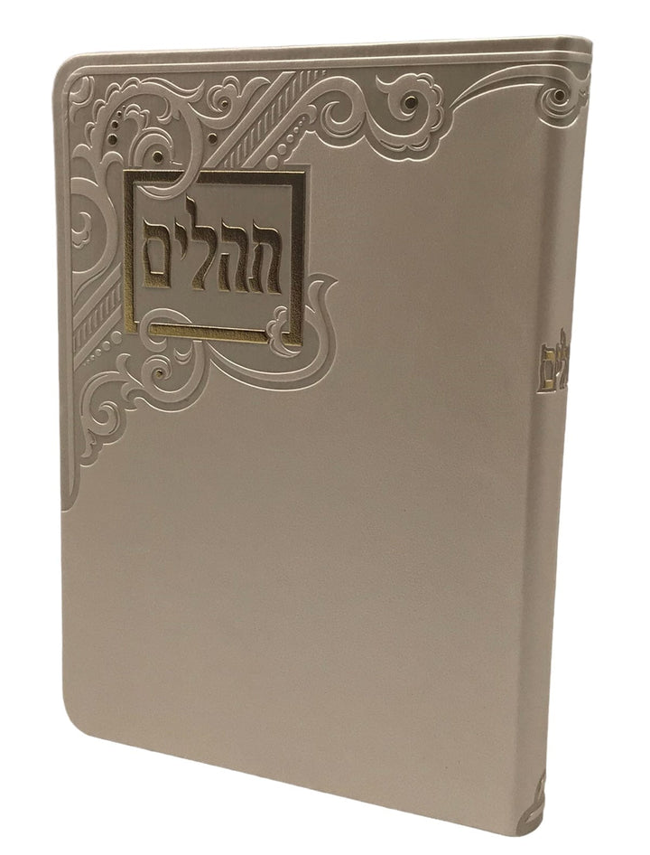 Ahuva Best of Discount Judaica