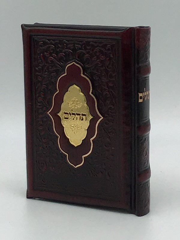 Ahuva Best of Discount Judaica