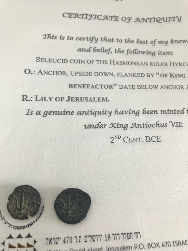 Ancient Coin - Jerusalem Lily 130 BCE 