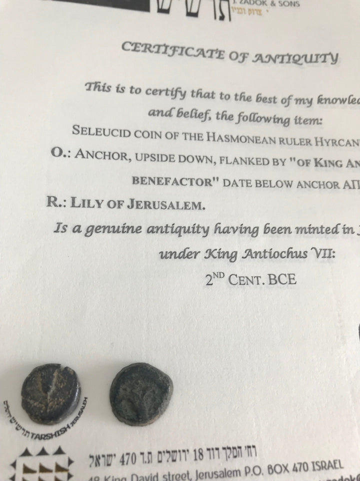Ancient Coin - Jerusalem Lily 130 BCE 