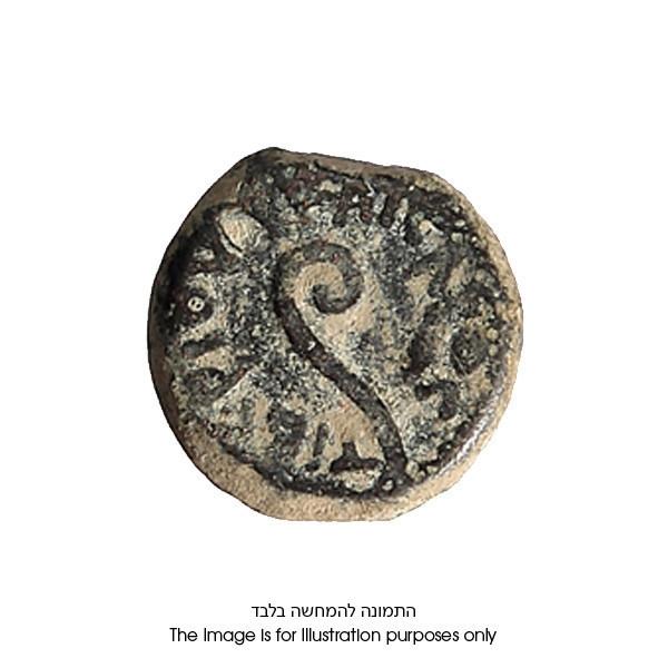 Ancient Herod Coin Pontius Pilate Prutah 26 - 36 AD 