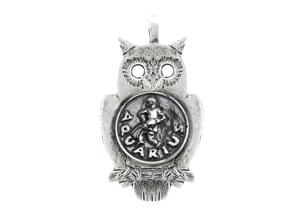 Aquarius Medallion Zodiac Pendant Necklace Pendant 