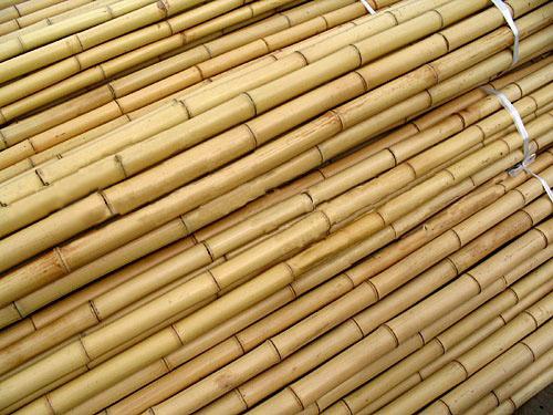 Bamboo Poles Bamboo Sold by Bundle 8 Foot (1" Diameter) Bundle of 50 pieces 