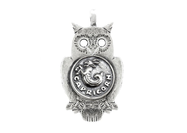 Capricorn Medallion Zodiac Astrology Pendant Necklace Pendant 