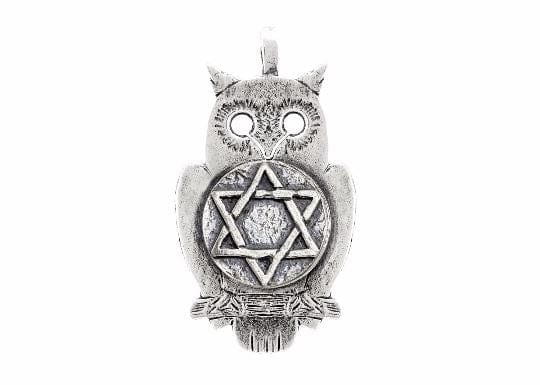 coin necklace with the Star of David coin medallion on owl jewish jewelry Star of David pendant owl jewelry Pendant 