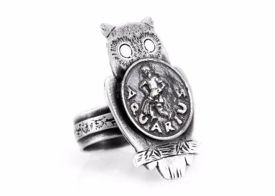 Coin ring with the Aquarius coin medallion on owl zodiac jewelry Aquarius ring RINGS 
