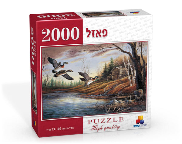 2000 pcs Puzzle - Birds at Shore-0