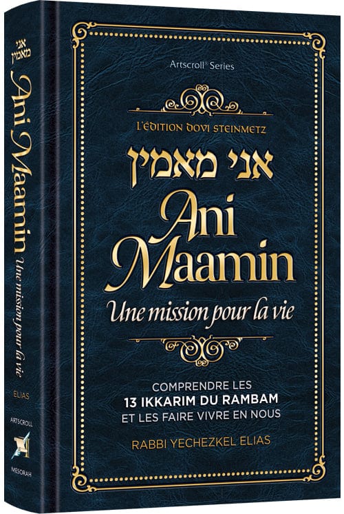 Ani maamin: a mission for life: french edition-0