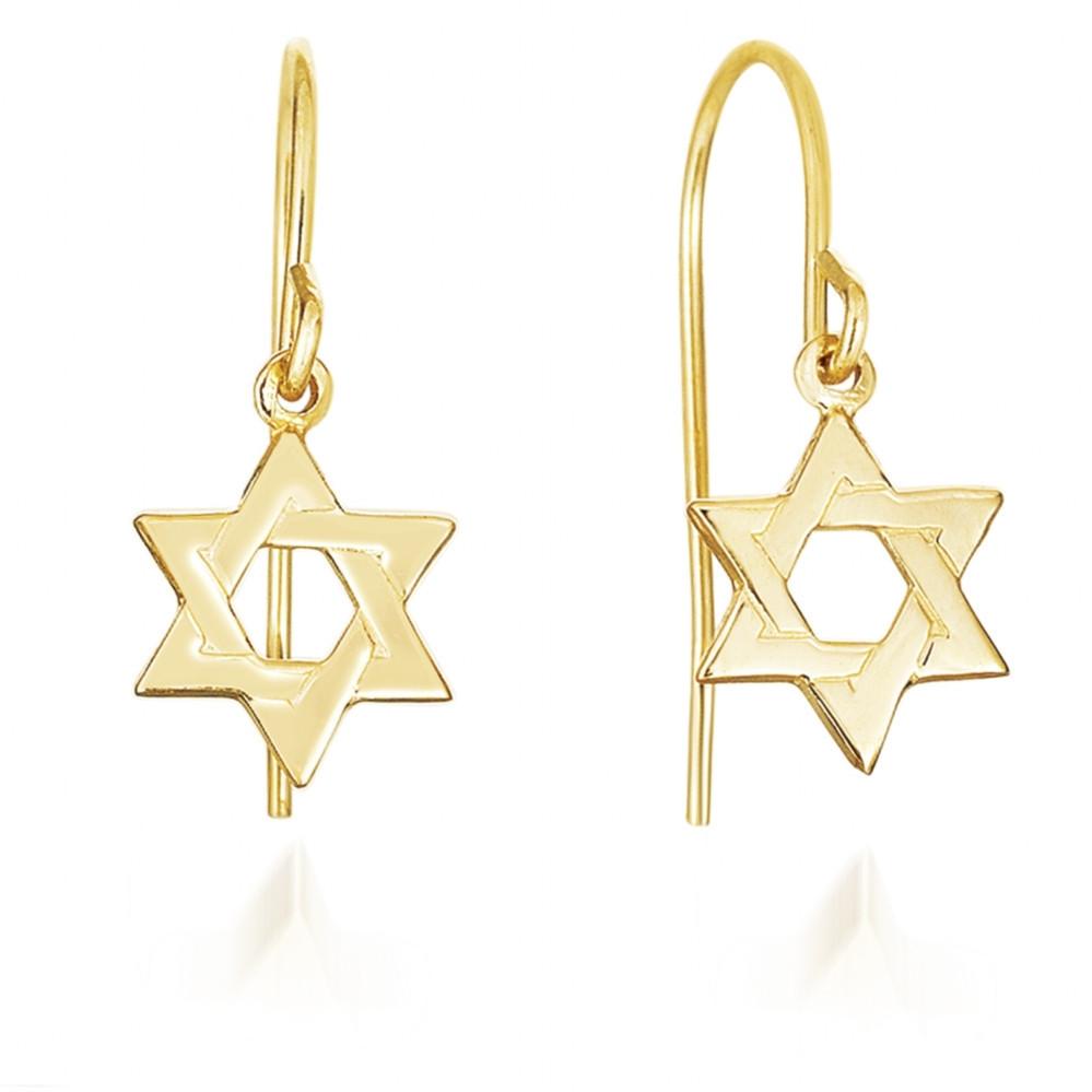 Gold star of 2025 david earrings