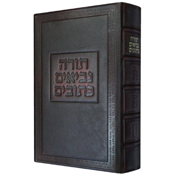 Hebrew Bible - Public Reading 