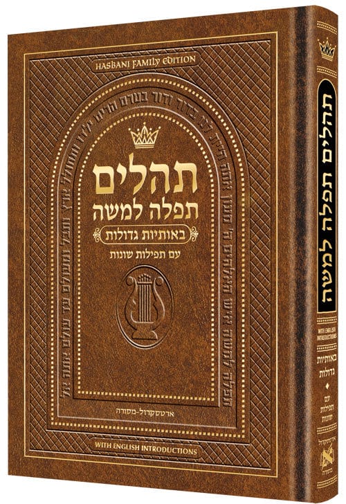 Hebrew only, large type tehillim with english introductions pocket size brown-0