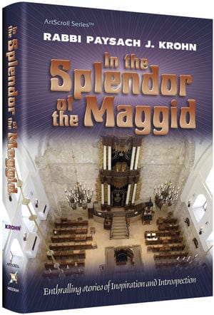 In the splendor of the maggid (h/c) Jewish Books 