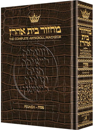 Leather machzor: pesach-pocket ashk.[allig.]