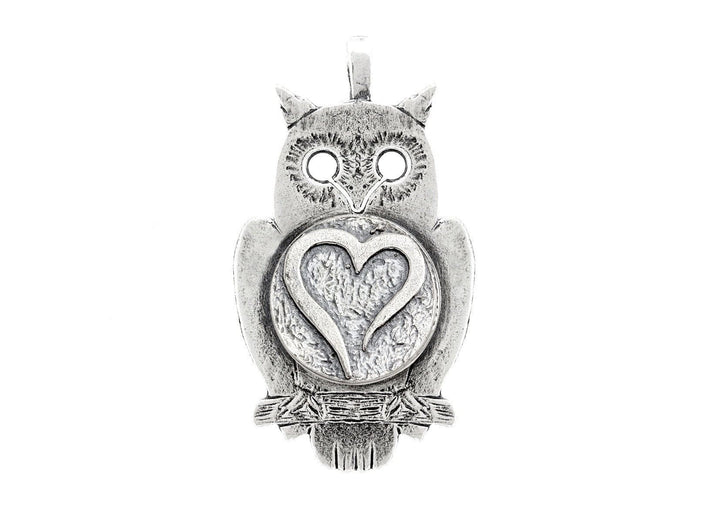 Owl with Open Heart Coin Medallion 