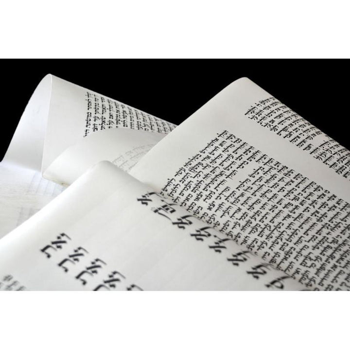Purim Megillah Scroll Of Esther Parchment & Case For Sale 14" Ktav Ashkenaz 
