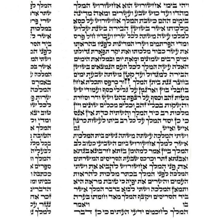 Purim Megillah Scroll Of Esther Parchment & Case For Sale 