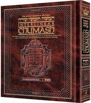 Schott ed. interlinear chumash vayikra Jewish Books 