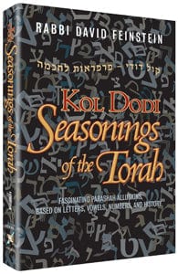 Seasonings of the torah [h/c] Jewish Books 