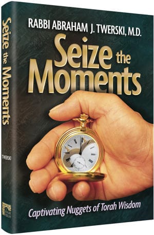 Seize the moments [twerski]-0