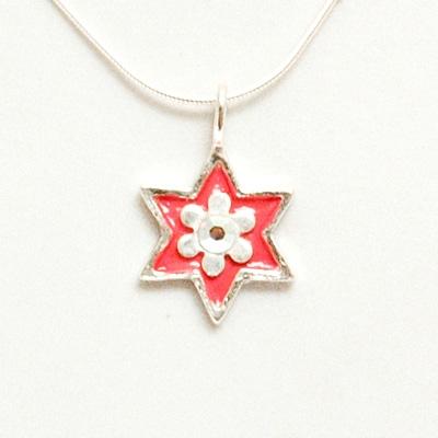 Shiny Star of David Necklace - Small Pink Flower Small 
