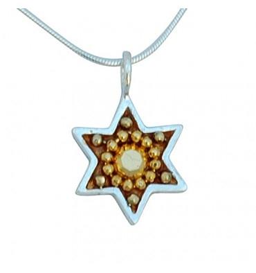 Shiny Star of David Necklace - Small Small Gold 