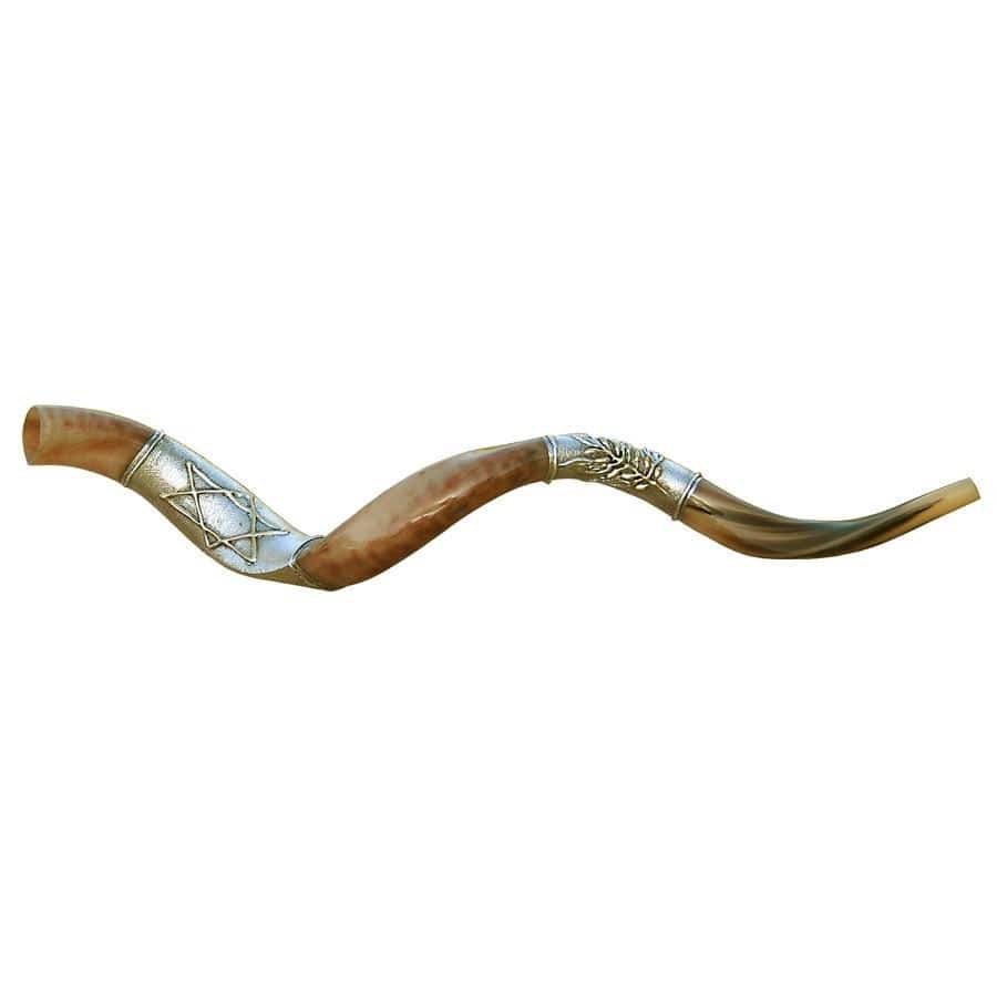 Star of David Sterling Silver Shofar - Shofars - Mishaan – ahuva.com