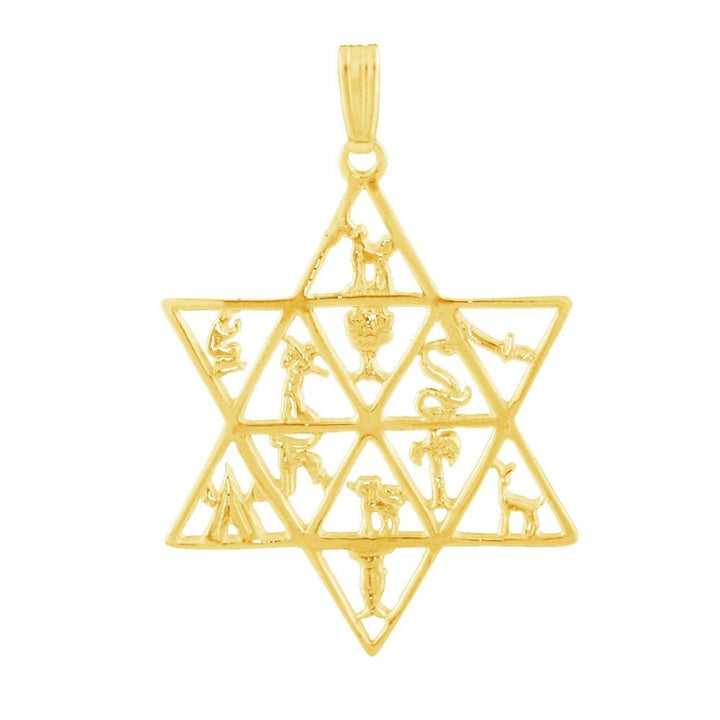 Star Of David With 12 Tribes 16 inches Chain (40 cm) 14Kt Yellow Gold 