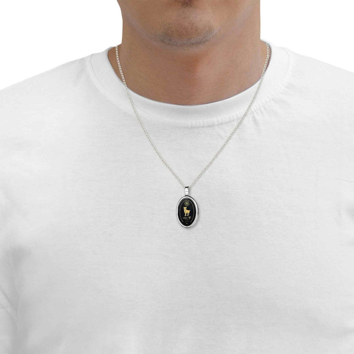 The World of Aries, 14k White Gold Necklace, Onyx Necklace 