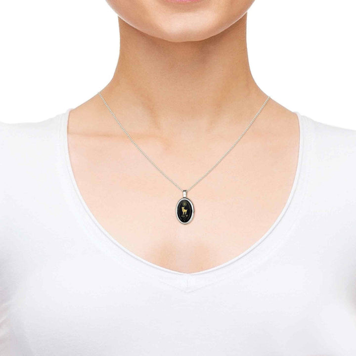 The World of Aries, 14k White Gold Necklace, Onyx Necklace 